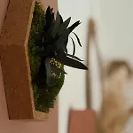 L'annexe - Maison Spacieuse Pour 6 Personnes Toute Equipee *